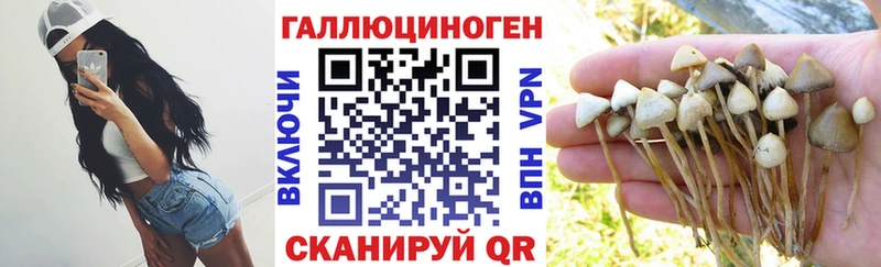 MEGA tor  Шебекино  Псилоцибиновые грибы Magic Shrooms 